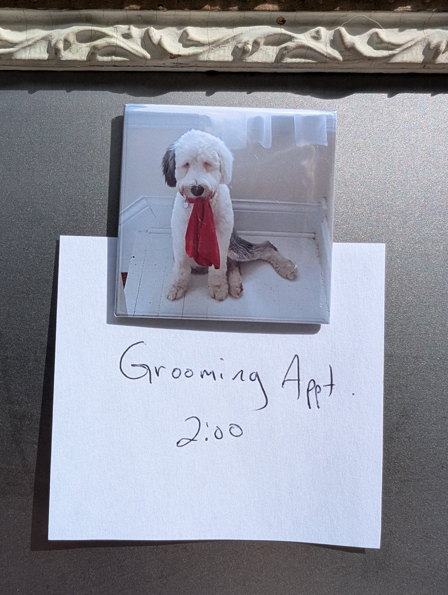 Custom Photo Magnet